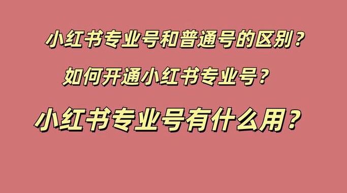 小红书专业好号：打造个人品牌的实战指南