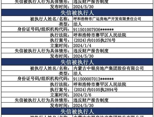 限制高消费名单查询：全面了解查询步骤与注意事项
