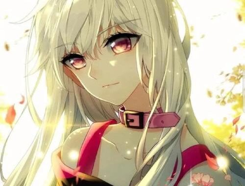 神印王座漫画：如何欣赏并深入理解这部经典之作？
