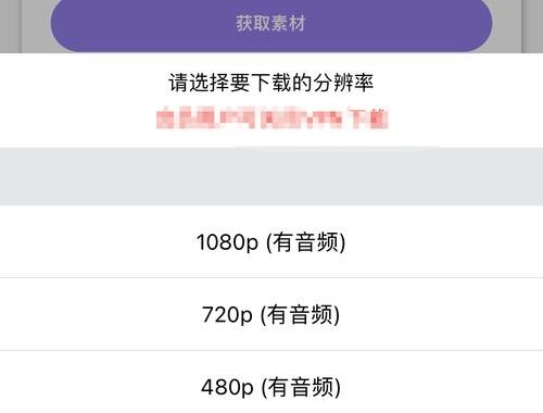 油管无水印视频下载：详细步骤与实用技巧