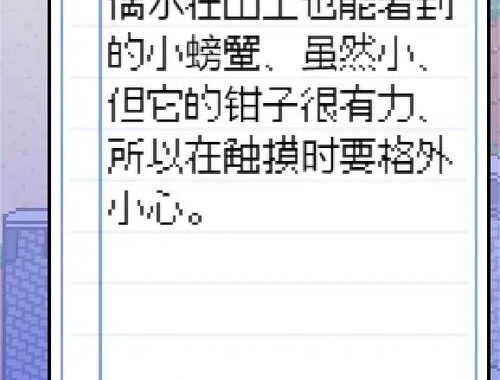 寻找夏日的宝物攻略：解锁夏日奇遇的秘密