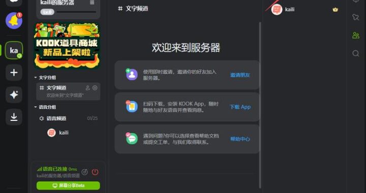 koook网页版是什么？如何高效使用其功能提升工作效率？