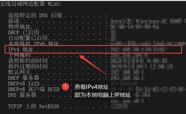 查看电脑IP地址：详细步骤与实用方法