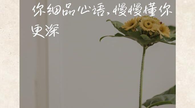 想要诉说的心意：如何真诚表达内心的情感