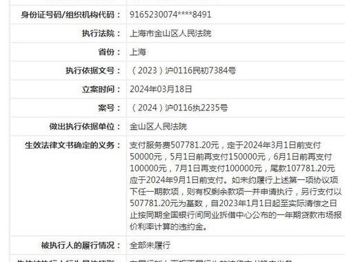 中国执行信息公开网登录指南