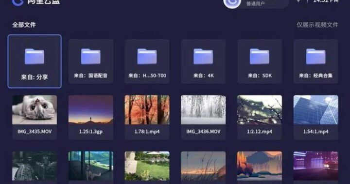 阿里云盘资源：全面指南与高效利用策略