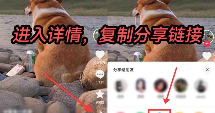 抖音视频下载：详细步骤与实用技巧