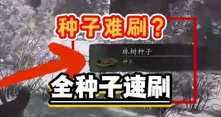 黑神话种子全收集：详细攻略与步骤指南
