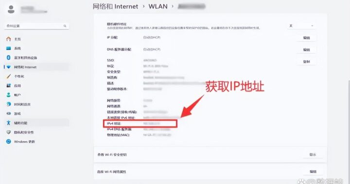 IP地址解析：深入理解与操作指南