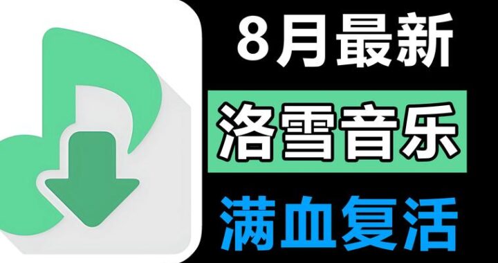 洛雪音乐音源大全：全面指南与设置步骤