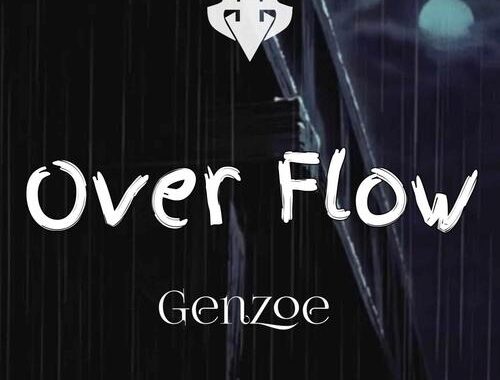 overflow在线免费观看：轻松享受高质量视频内容的指南