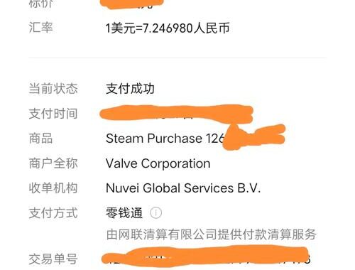 Steam支付方式详解：多种便捷支付渠道助你畅玩游戏