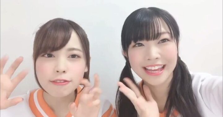 推特视频在线观看：如何观看、获取与利用推特视频