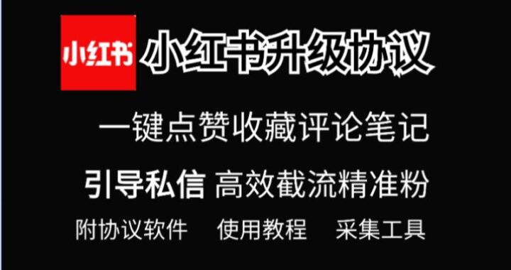 小红书图片解析：如何高效提取与利用图片中的关键信息？
