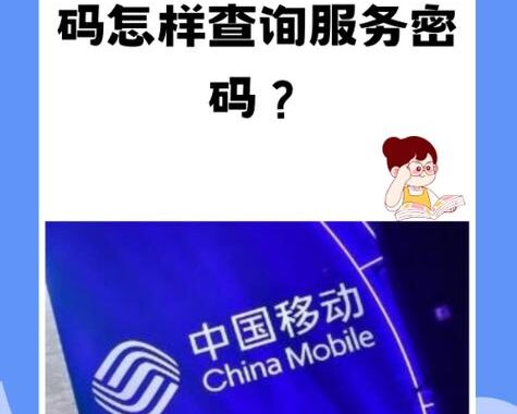 手机号注册查询：详细步骤与指南