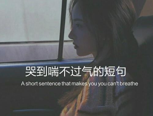 被我的手指拨弄：生活里的小细节与大意趣