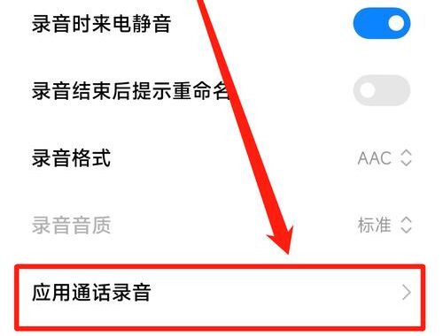 楼月语音聊天录音软件：全面指南与详细操作步骤
