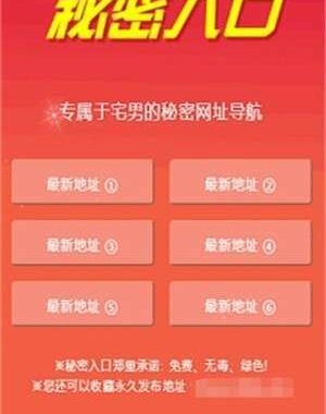 网址导航秘密：解锁高效上网新体验