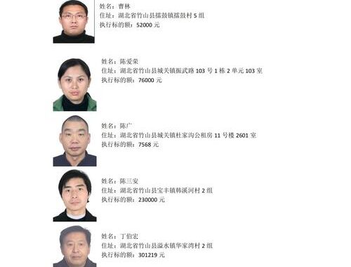 失信被执行人名单查询：全面指南与操作步骤