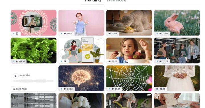 免费视频app：全面指南与精选推荐