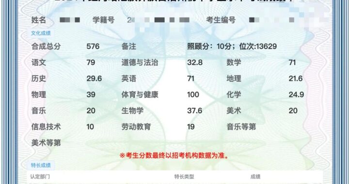 中考成绩查询：详细步骤与注意事项