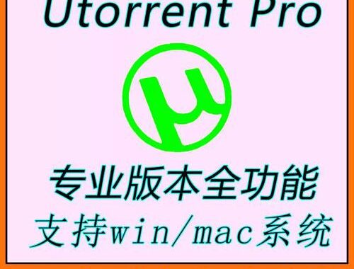 在线Torrent下载：安全高效的方法与步骤指南