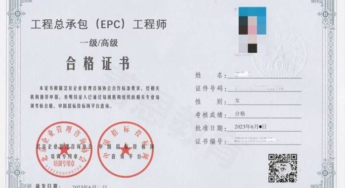 高级软件工程师：技能、职责与成长路径