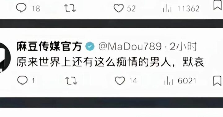 饼干姐姐糖心volg：烘焙甜蜜生活的艺术之旅