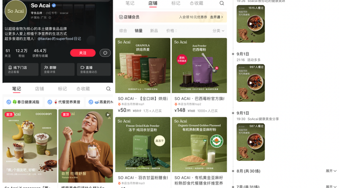 小红是网页版：如何充分利用其功能提升工作效率？