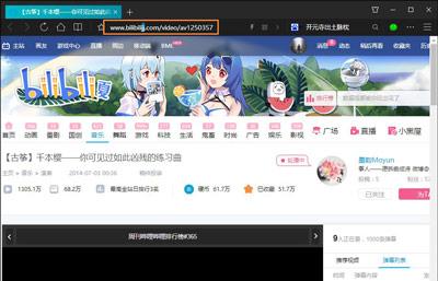 blbl视频下载：详细步骤与实用技巧