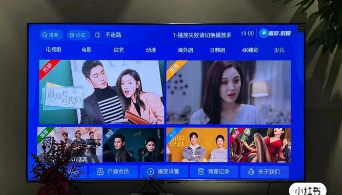 tv版的电视软件：全面指南与安装步骤