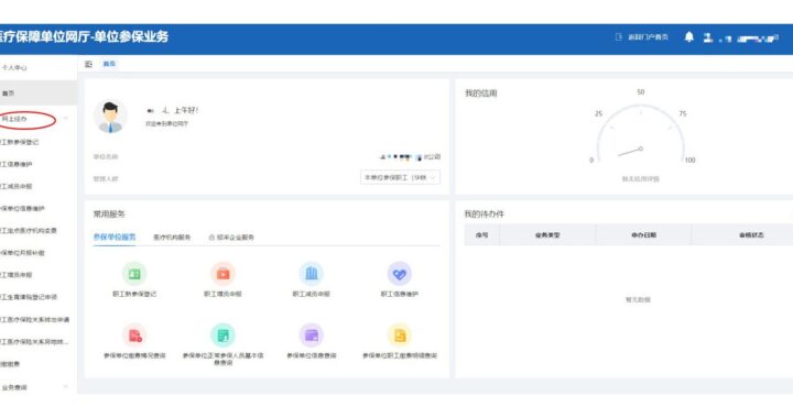 北京市医疗保障信息平台公共服务：全面解析与使用指南