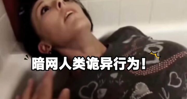 五一暗网入口揭秘：安全警示与防范指南