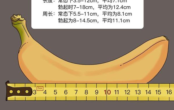 中国男性平均长度：科学数据与个体差异解析