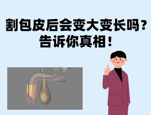 成年后阴茎还能变长吗？详细解析与科学方法