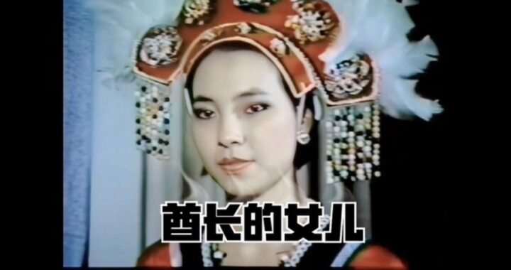 打真军电影未删版：探索电影艺术的边界与争议