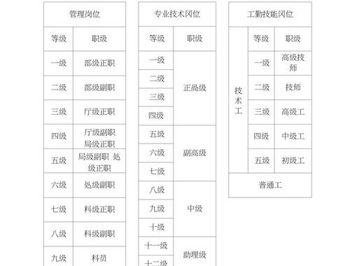 事业单位分类：全面了解与详细解析