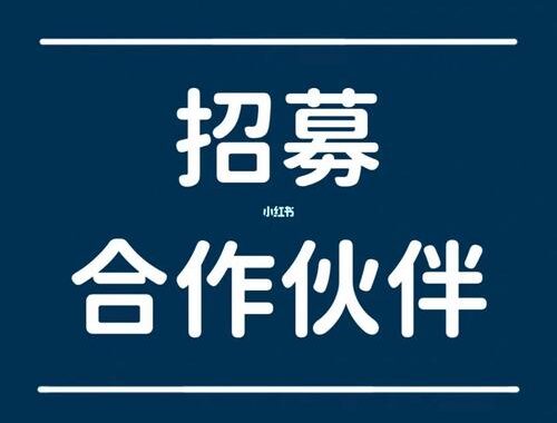 小红书合作伙伴平台是什么？如何加入并利用其优势？