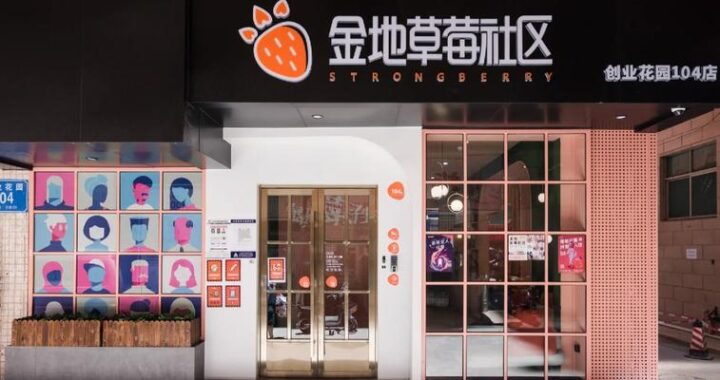 草莓社区地址一地址二：探索社区文化的双城记
