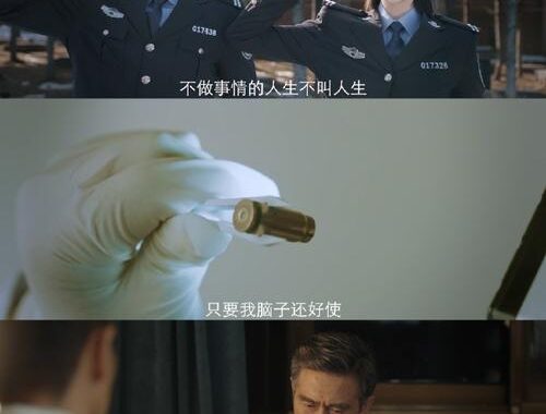 我是刑警剧狗狗：揭秘警犬在刑侦剧中的非凡角色