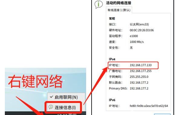 怎么查看本地IP地址的详细步骤