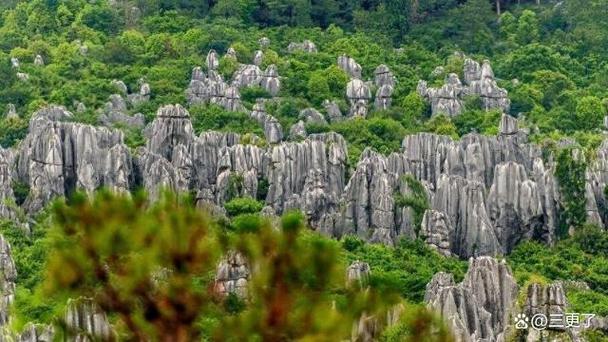 八山一水一分田：这是什么意思？如何理解这一地理特征？