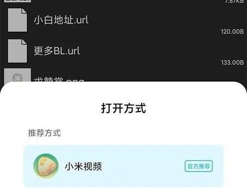 看巴士小白网：如何高效浏览与利用资源？