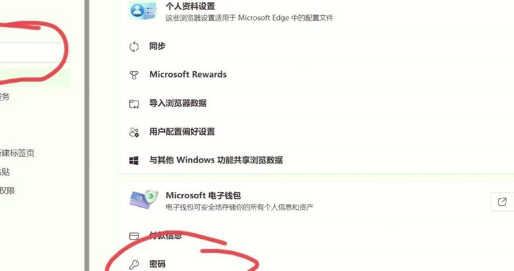 浏览器密码保存在哪里？全面解析浏览器密码存储机制