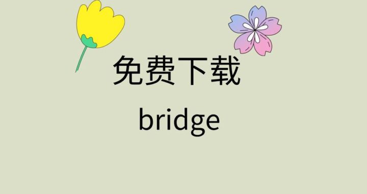 bridge下载：详细步骤与指南