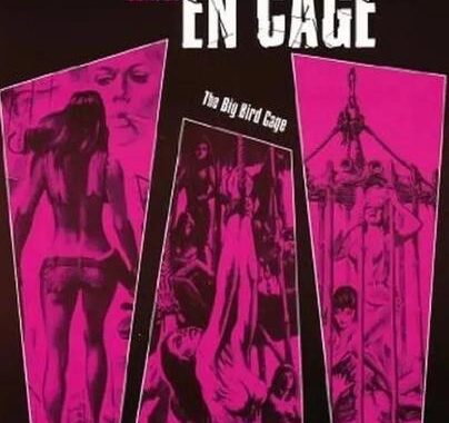 女子监狱电影：深度解析与经典推荐