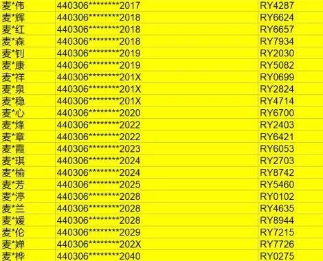 身份证号码查询个人信息资料：揭秘身份证号码背后的秘密