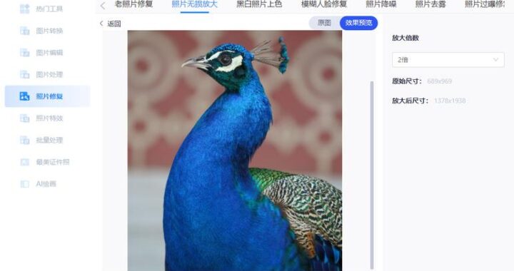 图片高清放大：解锁图像细节的终极指南