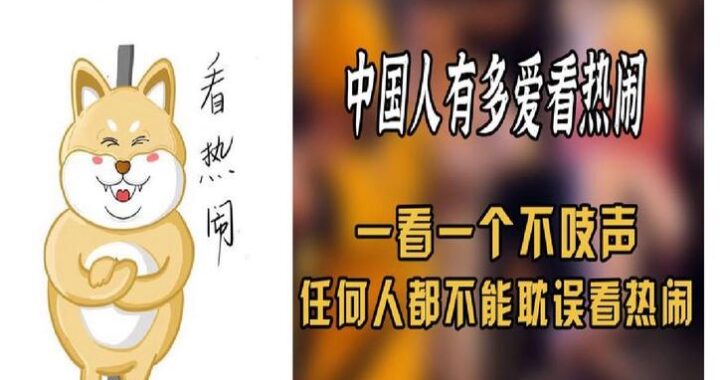 中国人线上看的：数字娱乐与知识获取的新趋势