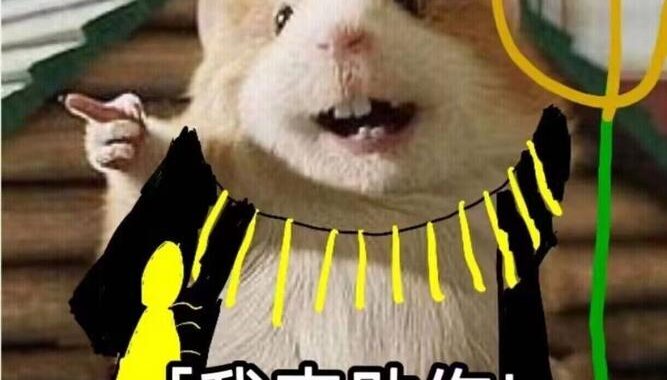 我来助你表情包：如何制作和分享个性化的表情包？